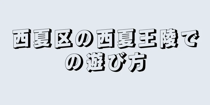 西夏区の西夏王陵での遊び方