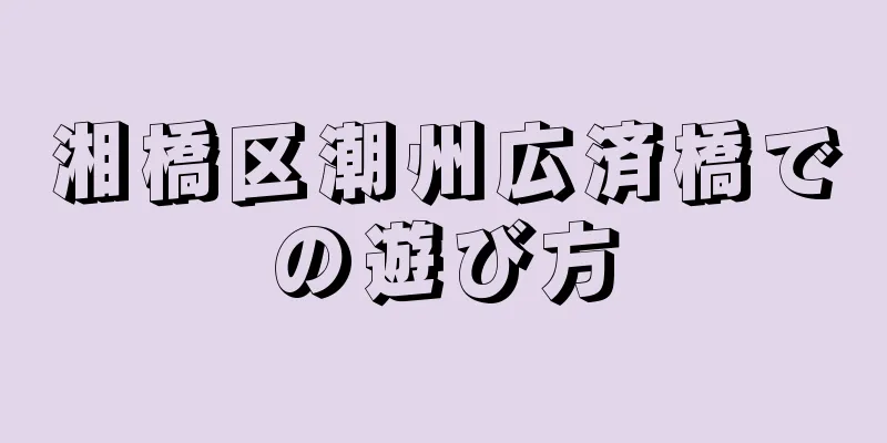 湘橋区潮州広済橋での遊び方