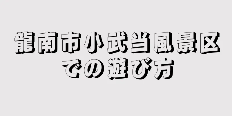 龍南市小武当風景区での遊び方
