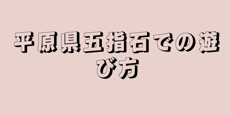 平原県五指石での遊び方