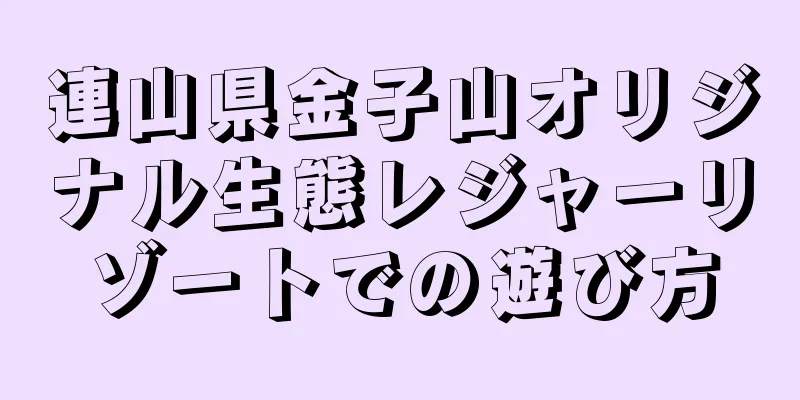 連山県金子山オリジナル生態レジャーリゾートでの遊び方