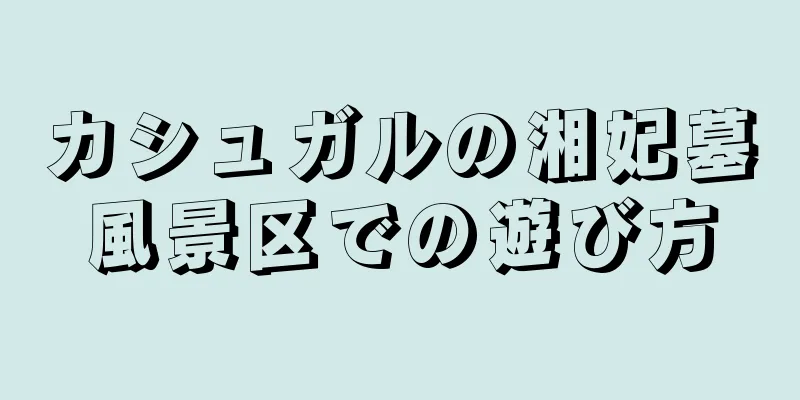 カシュガルの湘妃墓風景区での遊び方