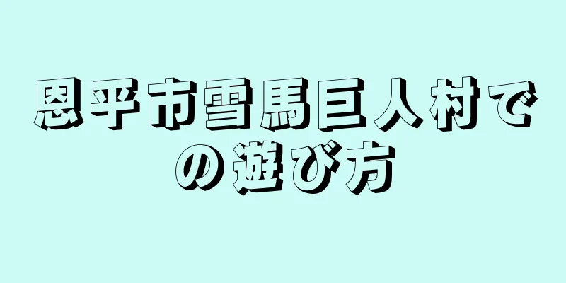 恩平市雪馬巨人村での遊び方