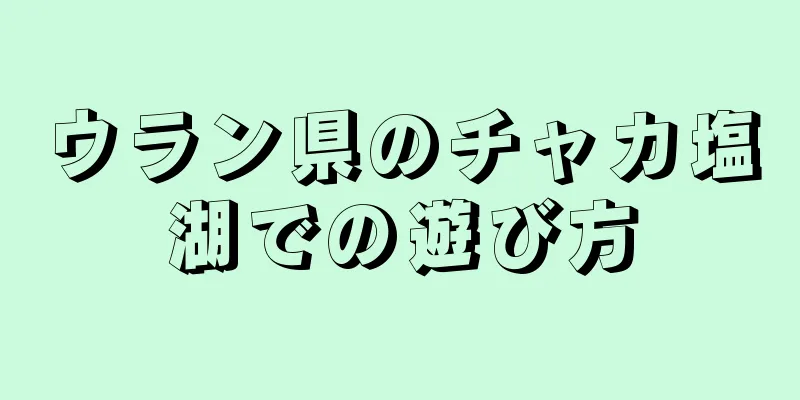 ウラン県のチャカ塩湖での遊び方