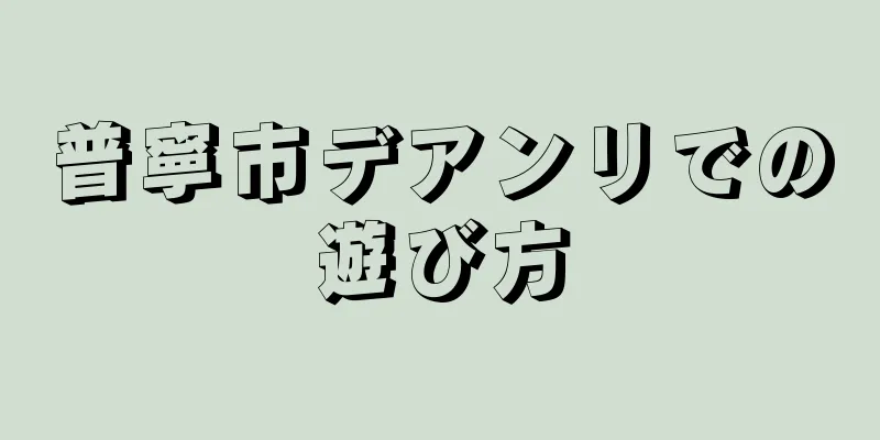 普寧市デアンリでの遊び方