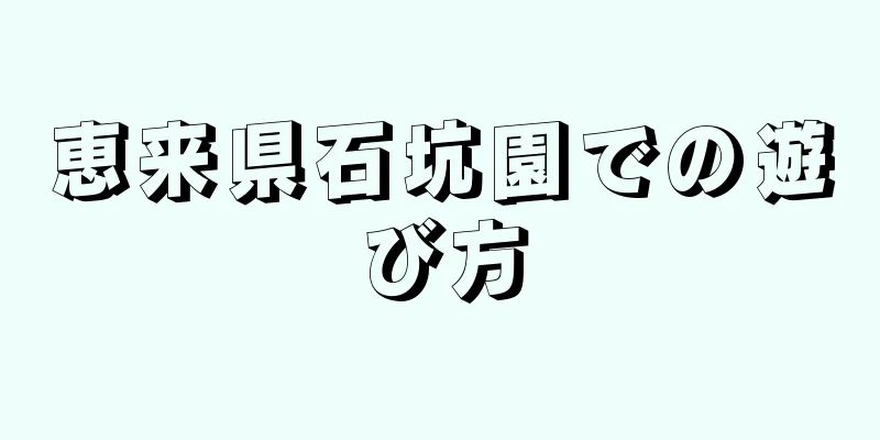 恵来県石坑園での遊び方