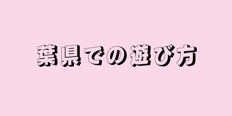 葉県での遊び方