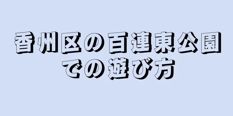 香州区の百連東公園での遊び方