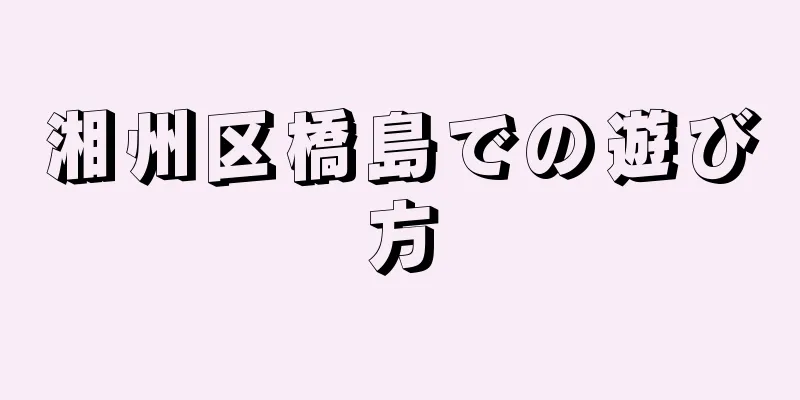 湘州区橋島での遊び方