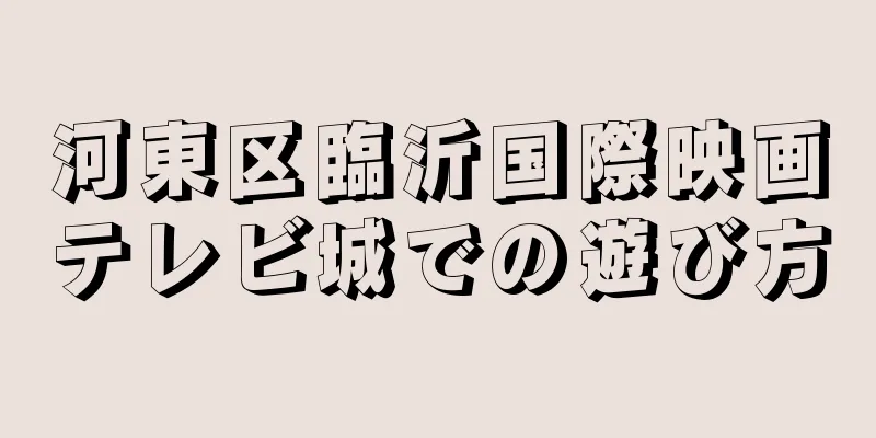 河東区臨沂国際映画テレビ城での遊び方