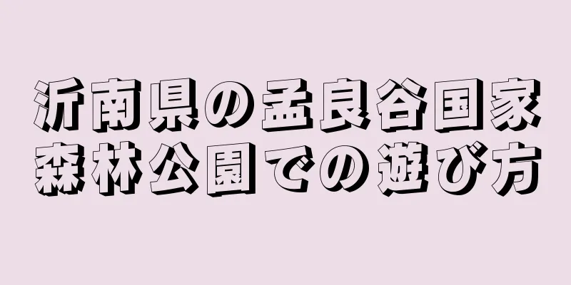 沂南県の孟良谷国家森林公園での遊び方