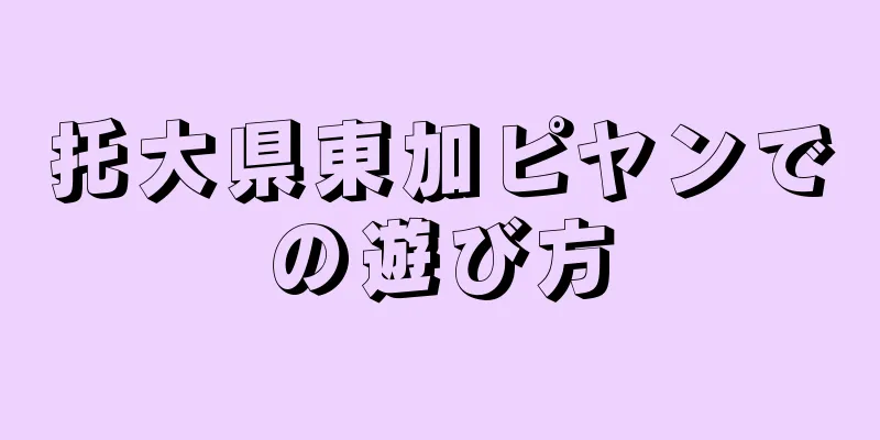 托大県東加ピヤンでの遊び方