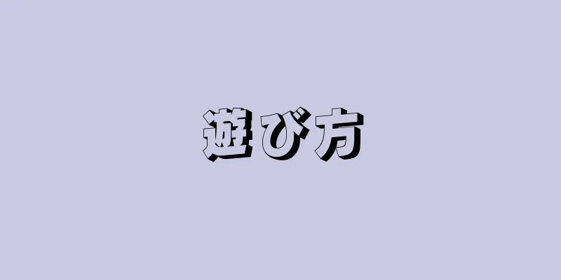 遊び方