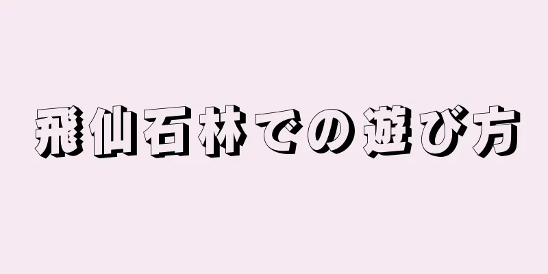 飛仙石林での遊び方