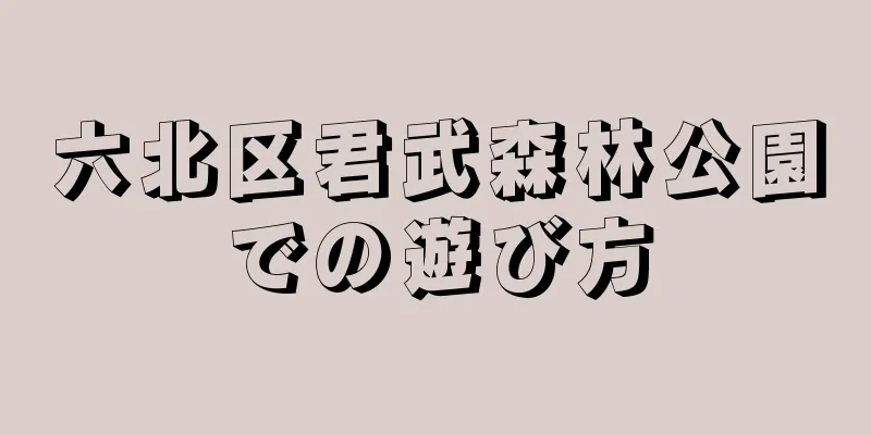六北区君武森林公園での遊び方