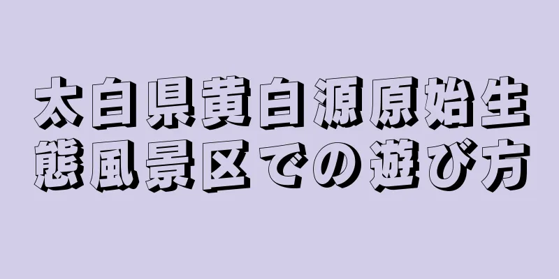 太白県黄白源原始生態風景区での遊び方