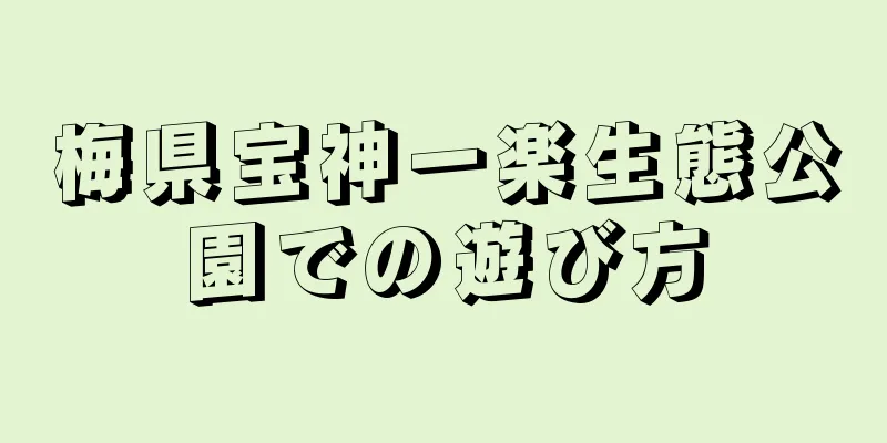 梅県宝神一楽生態公園での遊び方
