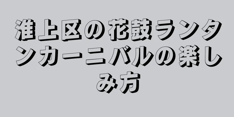 淮上区の花鼓ランタンカーニバルの楽しみ方
