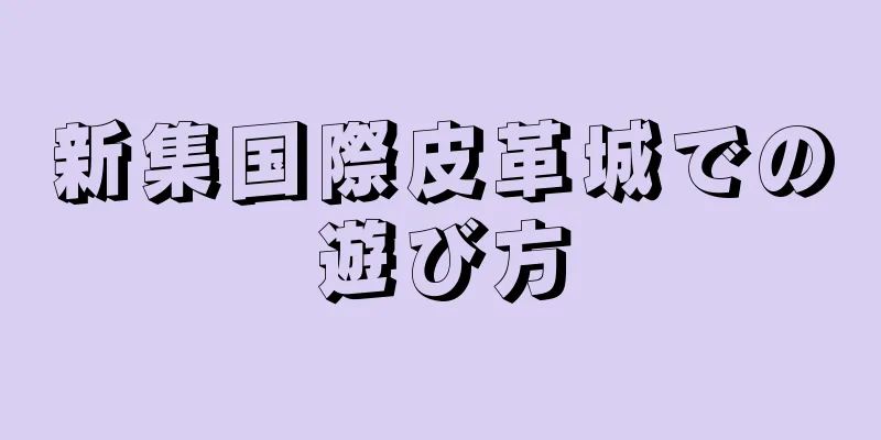 新集国際皮革城での遊び方