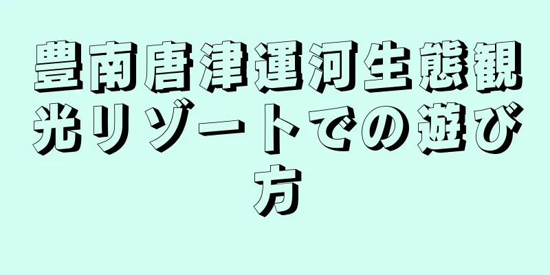 豊南唐津運河生態観光リゾートでの遊び方