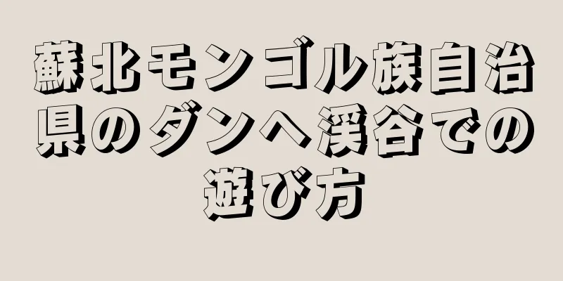 蘇北モンゴル族自治県のダンヘ渓谷での遊び方