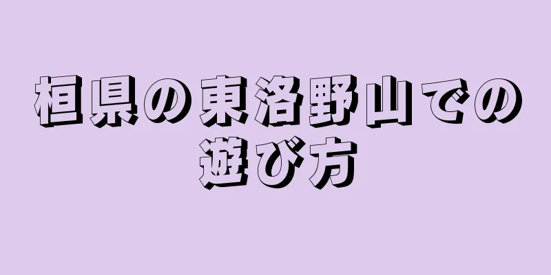 桓県の東洛野山での遊び方