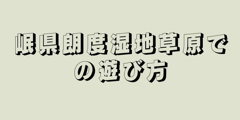 岷県朗度湿地草原での遊び方