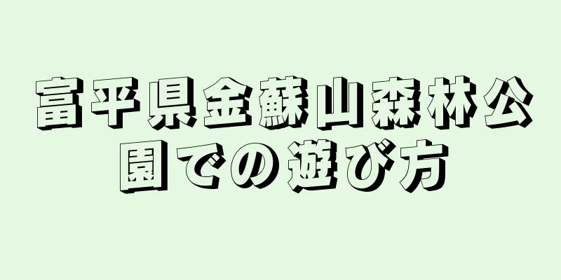 富平県金蘇山森林公園での遊び方
