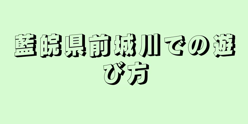 藍皖県前城川での遊び方