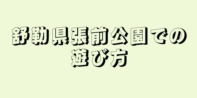 舒勒県張前公園での遊び方