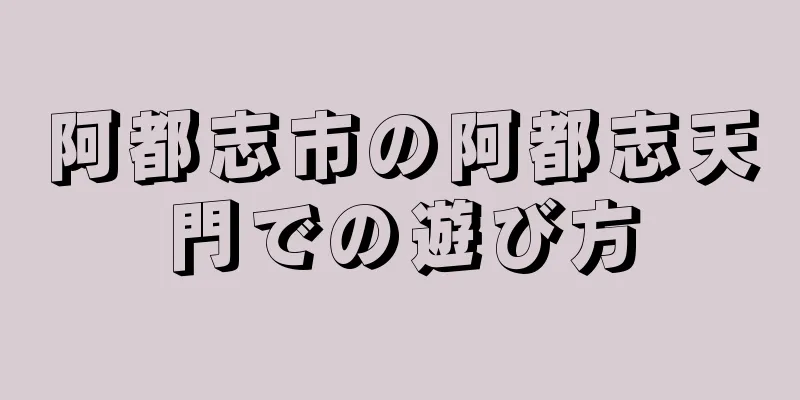 阿都志市の阿都志天門での遊び方