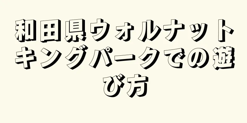 和田県ウォルナットキングパークでの遊び方