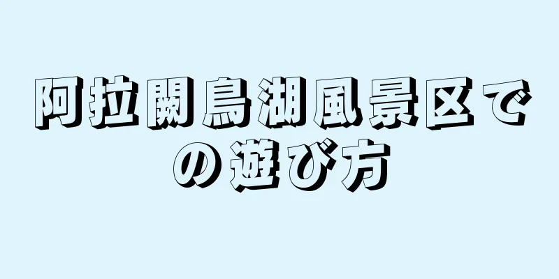 阿拉闕鳥湖風景区での遊び方
