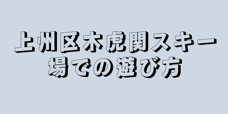 上州区木虎関スキー場での遊び方