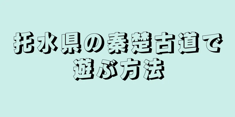 托水県の秦楚古道で遊ぶ方法