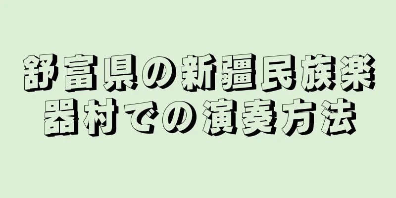 舒富県の新疆民族楽器村での演奏方法