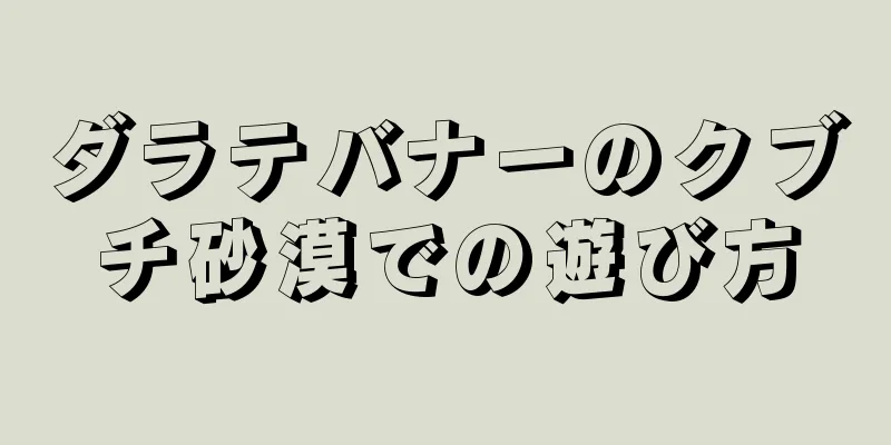 ダラテバナーのクブチ砂漠での遊び方