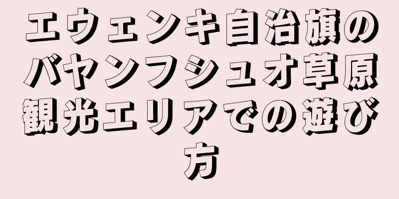 エウェンキ自治旗のバヤンフシュオ草原観光エリアでの遊び方