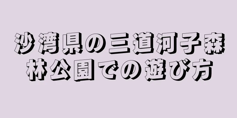 沙湾県の三道河子森林公園での遊び方