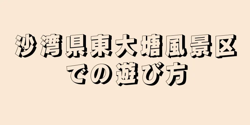 沙湾県東大塘風景区での遊び方