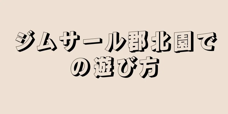 ジムサール郡北園での遊び方