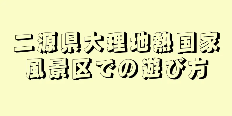 二源県大理地熱国家風景区での遊び方