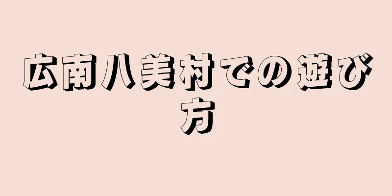 広南八美村での遊び方