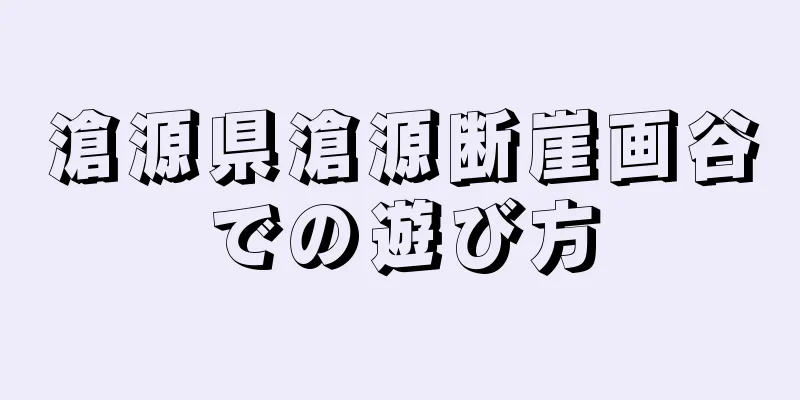 滄源県滄源断崖画谷での遊び方