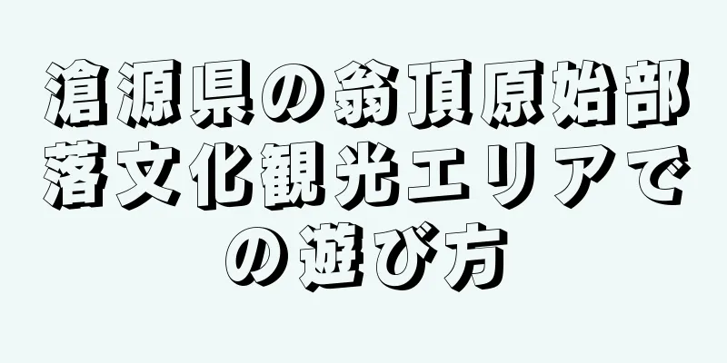 滄源県の翁頂原始部落文化観光エリアでの遊び方