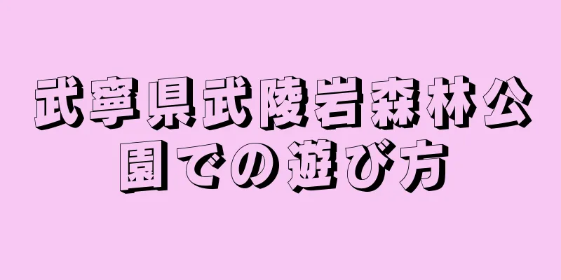 武寧県武陵岩森林公園での遊び方