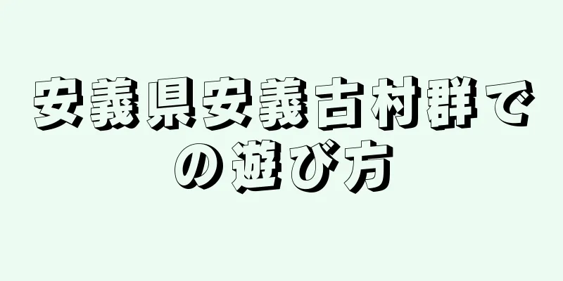 安義県安義古村群での遊び方