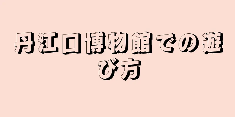 丹江口博物館での遊び方