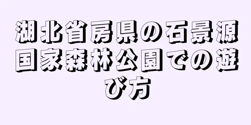 湖北省房県の石景源国家森林公園での遊び方
