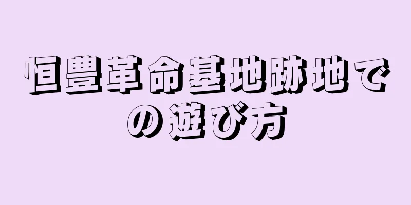 恒豊革命基地跡地での遊び方